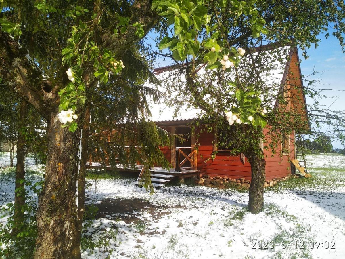 Ekostolarnia Villa Rutka-Tartak Exterior foto